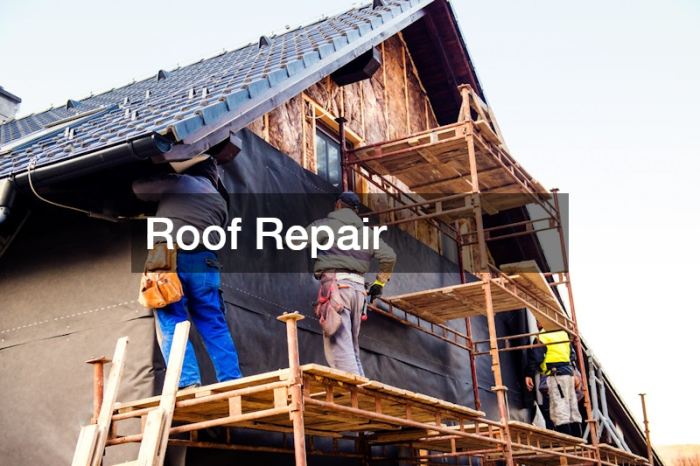 Professional roof repair services
