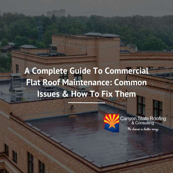 Flat Roof Maintenance Guide: Essential Steps To Protect Your Investment