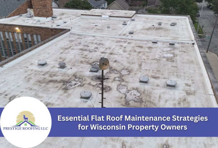 Essential Flat Roof Maintenance Tips for Lasting Protection