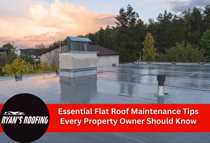 Essential Flat Roof Maintenance Tips Every Property Owner Should Know