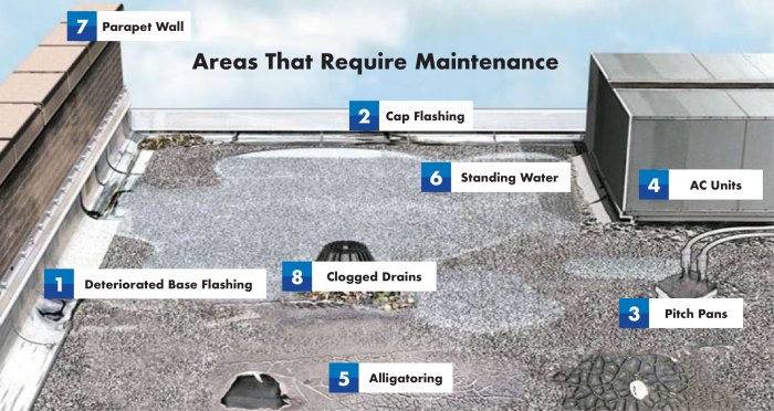A Guide to Commercial Roof Maintenance - PRN Roofing