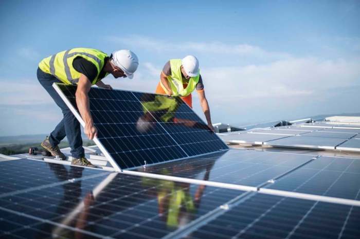 Reliable Solar Panel and Installation in Lakeland | ESD Solar