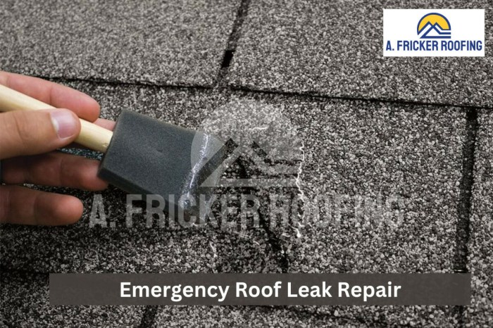 DIY Emergency Roof Leak Repair: What You Can Do Until the Pros Arrive