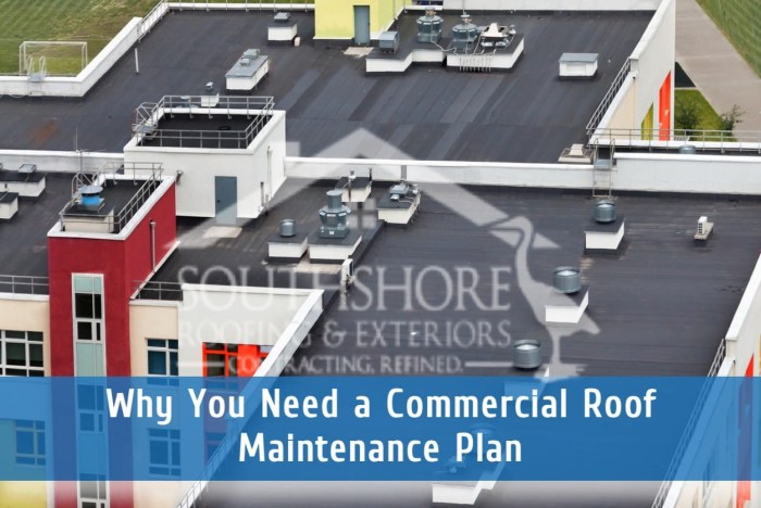 SmartCARE Roof Maintenance | Commercial Roofing | DK Haney